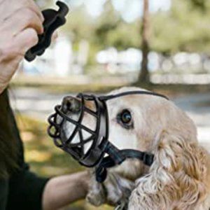 Mayerson Small Dog Muzzle